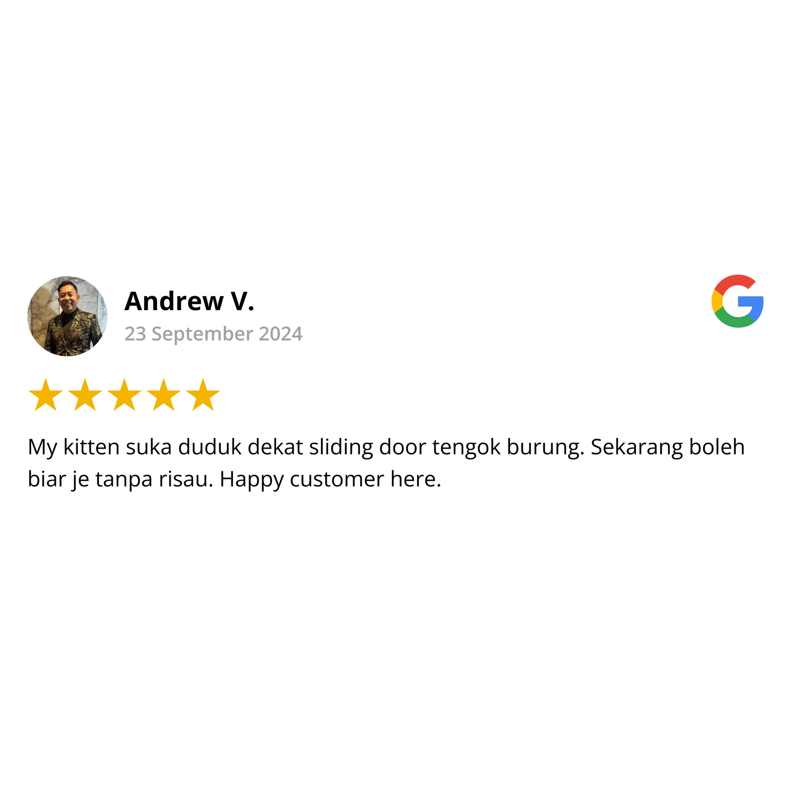 Google review by Andrew V., 5 stars — kitten can sit at the sliding door safely with invisible grill
