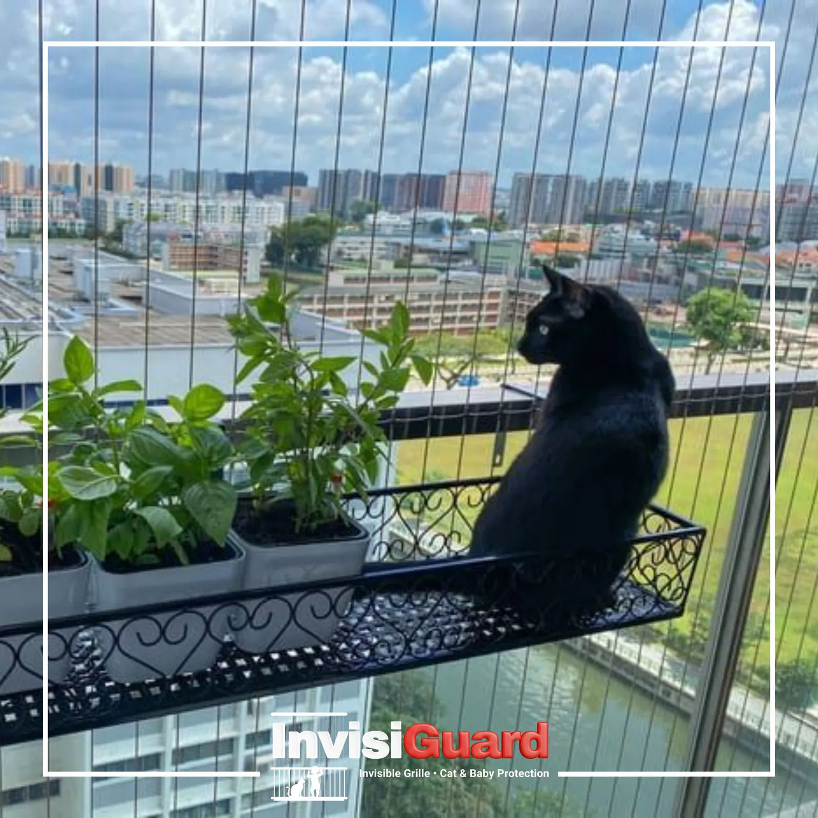 Balcony grill glass area secured with invisible grille